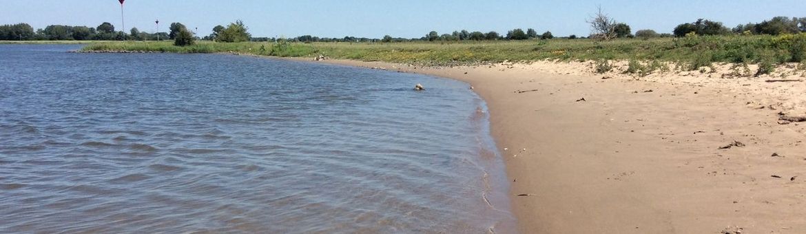 Strandje rivierrombout - primair