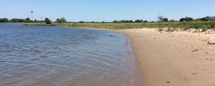 Strandje rivierrombout - primair