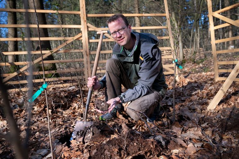 Casper de Groot, bosadviseur Staatsbosbeheer