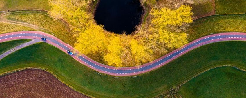 De dijk als kleurrijk lint in het landschap Jaap Boheemen