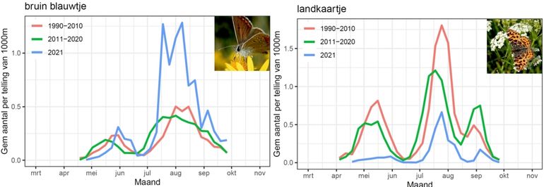 Aantallen van bruin blauwtje en landkaartje op de routes 2021, vergeleken met de periodes 1990-2010 en 2011-2020