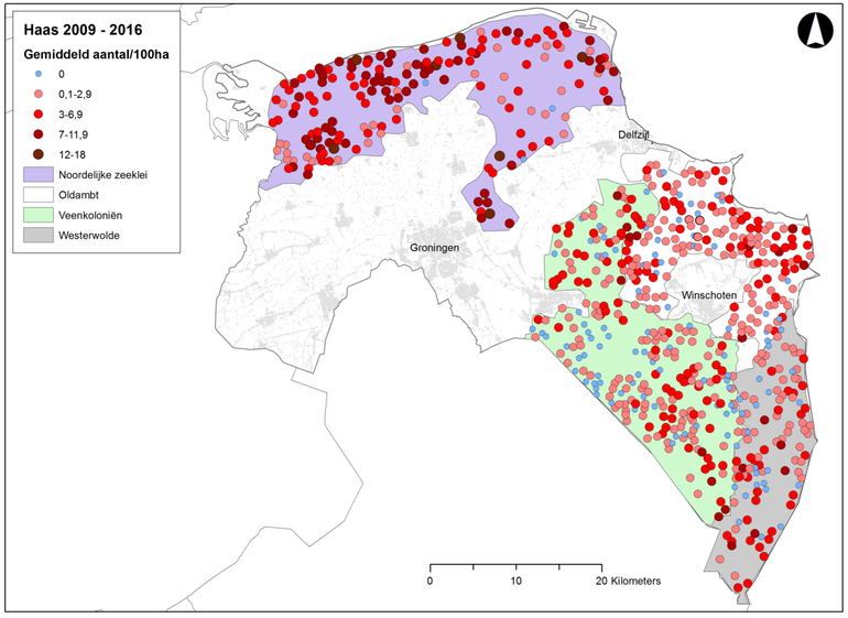 Figuur 1 Verspreiding en gemiddelde dichtheid per telpunt doorberekend naar dichtheden per 100 hectare (1 km²) van Hazen in de regio’s Noordelijke zeeklei, Oldambt, Veenkoloniën en Westerwolde in de provincie Groningen