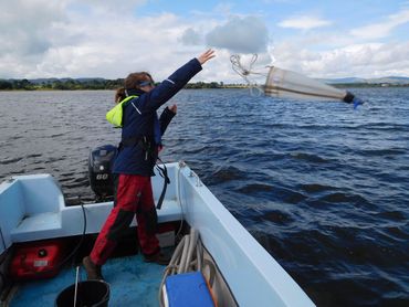 Collecting algae and water animals to monitor water quality
