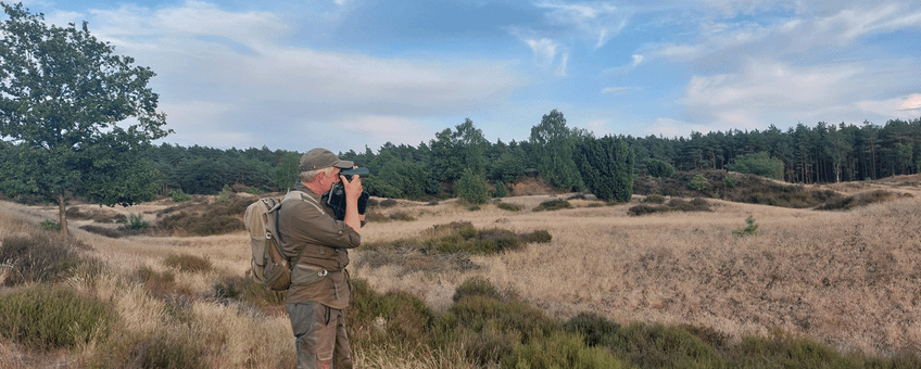 Symen Deuzeman speurt naar vogels in Kootwijkerzand. Het is nog te licht voor de nachtzwaluw.