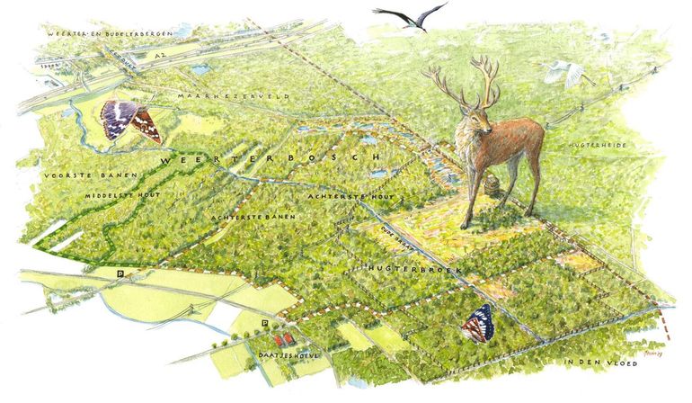 In het KempenBroek verwerft ARK gronden om bestaande natuurgebieden beter te verbinden en zo natuurlijker te kunnen maken