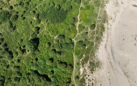 Peter Veldt / Stroming / ARK Rewilding Nederland Luchtfoto van stierenkuilen in de Gelderse Poort