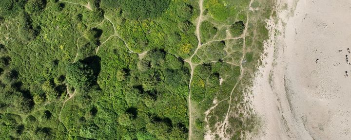 Nature Today | Natuurbeheer: Zet Natuurlijke Processen Voorop