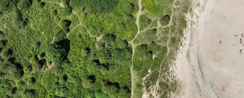 Luchtfoto van stierenkuilen in de Gelderse Poort