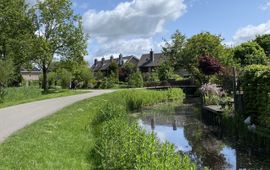 Bram Goris Een zonnig Merenwijk in Leiden