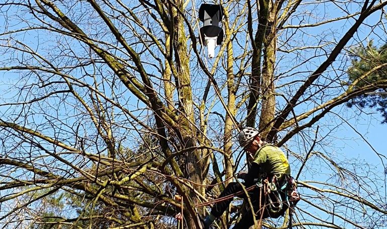 De klimmer in de boomkroon aan het werk met de val waarin de insecten worden verzameld