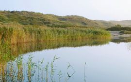 Water in duinen