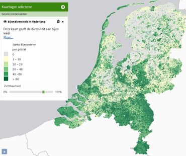 Deze kaart geeft per 100 bij 100 meter het aantal bijensoorten weer dat er gemiddeld voorkomt.