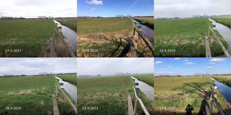 Stand van de ontwikkeling van een weiland in Bennekom rond 20 maart in de jaren 2017 tot en met 2022