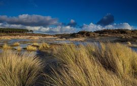 duinen