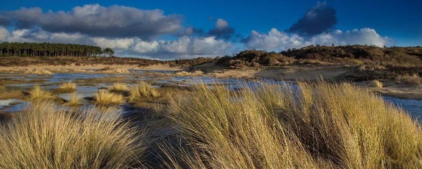 duinen