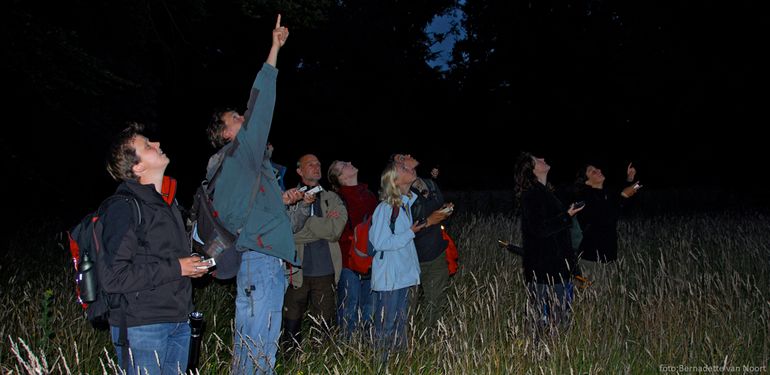 Luisteren en kijken naar vleermuizen tijdens de Nacht van de Vleermuis