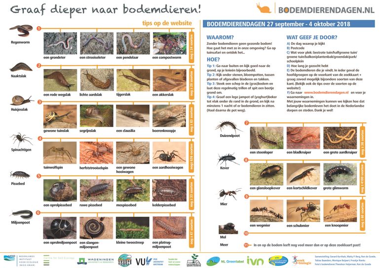 ...en voor de liefhebbers ook de interessante soorten waar we speciaal naar zoeken tijdens de Bodemdierendagen