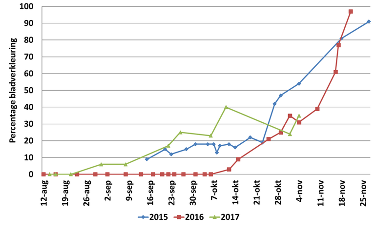 Verloop bladverkleuring van een zomereik in de Lumentuin in Wageningen in 2015, 2016 en 2017