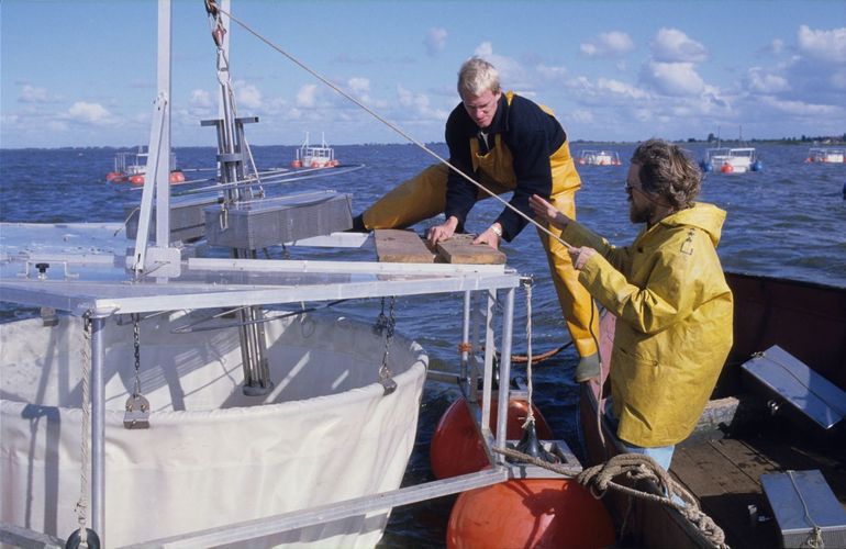 A series of six exclosures were located in the Tjeukemeer in the early 1980s to study the healthy water system. The knowledge gained at such shallow lakes (and also in the Loosdrechtse Plassen) contributed to PCLake. This is a widely used computer model of a lake ecosystem that allows you to calculate, for instance, effects of (climate) change on eutrophication or the effectiveness of recovery measures