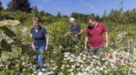 De familie Rouwhof loopt door hun nieuw aangeplante bos