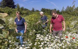 De familie Rouwhof loopt door hun nieuw aangeplante bos