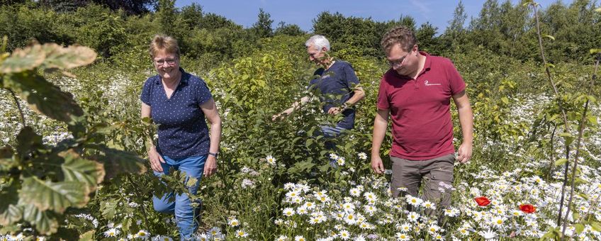 De familie Rouwhof loopt door hun nieuw aangeplante bos