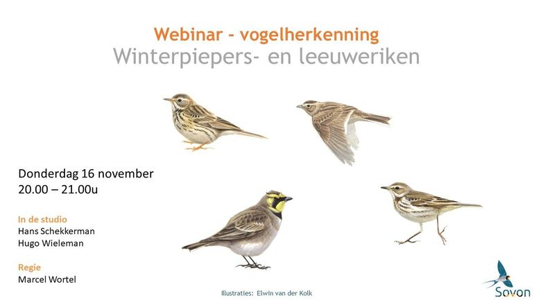 Webinar piepers en leeuweriken