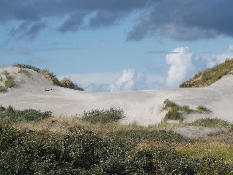 Duinlandschap op Ameland