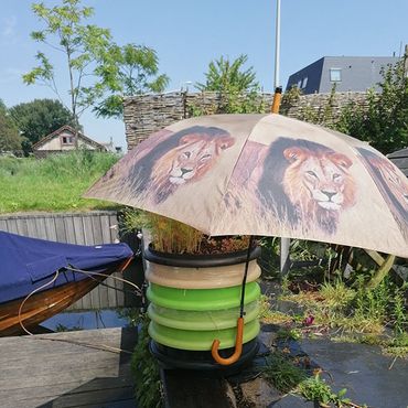 Wormenbak in zomer