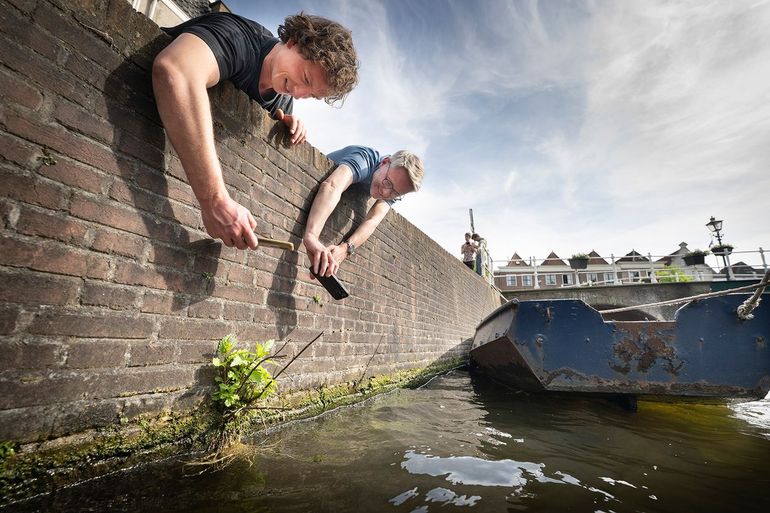 Frederic Lens en Jordy Janssen gebruiken ObsIdentify tijdens Expeditie Stadsnatuur