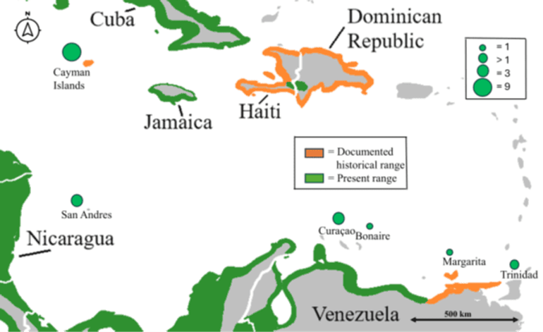 Kaart van de huidige (groene) en historische (oranje) verspreiding van de Amerikaans krokodil (Crocodylus acutus) in het Caribisch gebied, met groene cirkels voor de 'bijzondere' waarnemingen die verder in het artikel in de Caribbean Journal of Science worden besproken