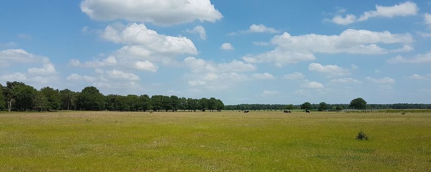 Schrale graslanden - primair