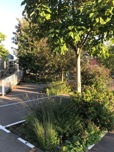 Groene ruimte in de woonwijk Oliemolenhof, Amersfoort