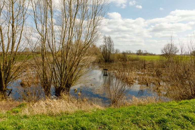 Oude Rijnstrang Gelderse Waard