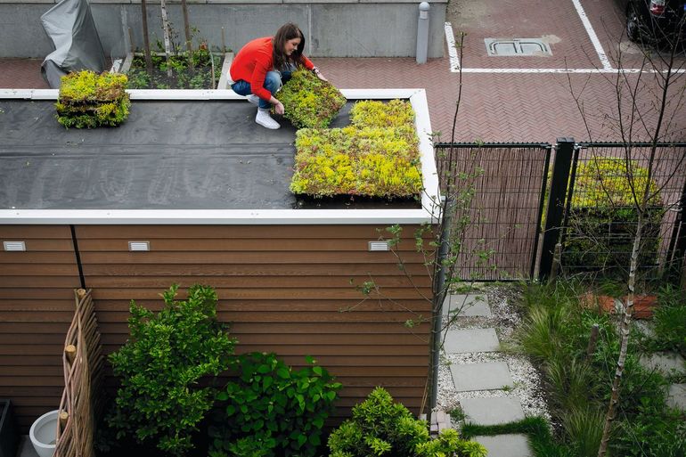 Gebruik je dak als waterbuffer