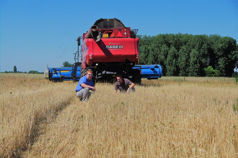 Het aantal agrariërs dat interesse toonde voor de nieuwe wijze van hamsterbeheer met oogsten is verdubbeld, mede door de inzet van innovatieve oogstmethodes zoals hier de arenstripper