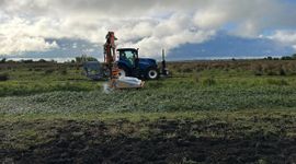 electrocutie van waterteunisbloem