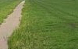 veling agrarisch klein