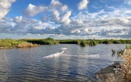 Fuikenopstelling op Marker Wadden om de in- en uittrek van vis in een compartiment te monitoren (eenmalig gebruik WMR)