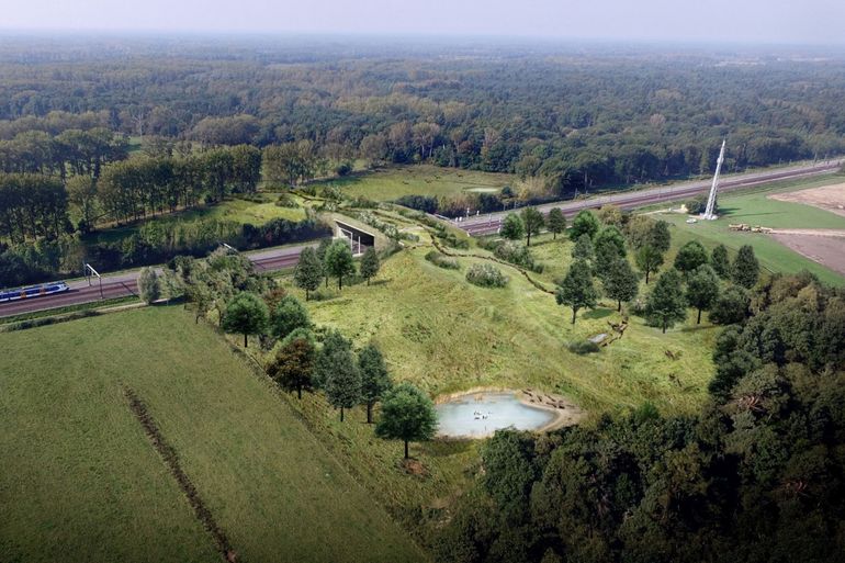 Visual van de natuurbrug over het spoor