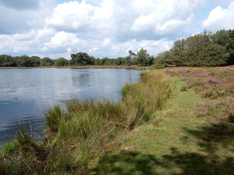 Terhorsterzand