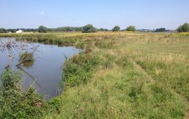 Natuurgebied Kuipersveer