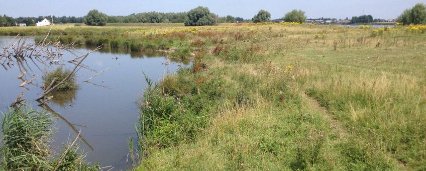 Natuurgebied Kuipersveer