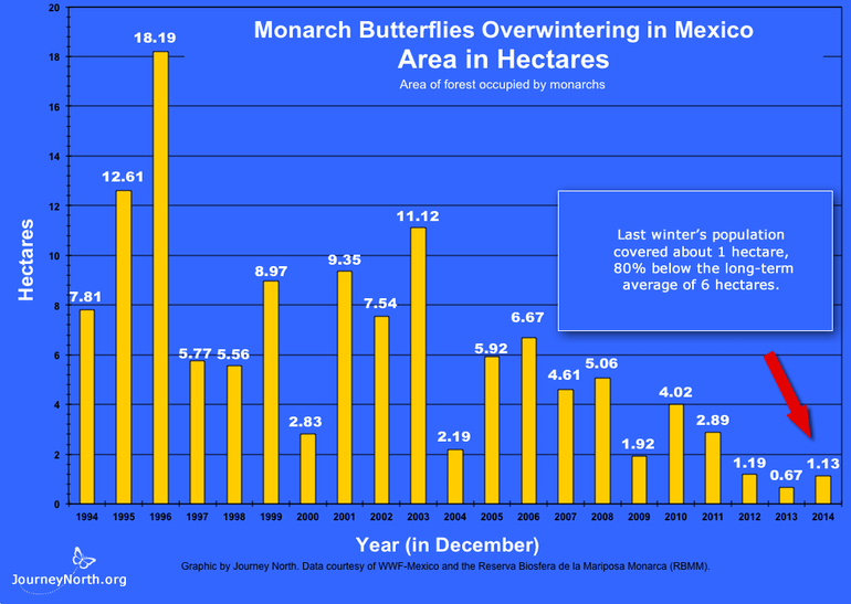 Annual amount of forest (hectares) covered with monarch butterflies