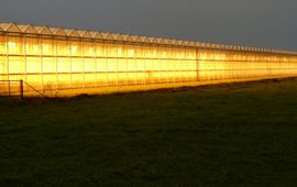 Kars Veling lichtvervuiling kassen - primair