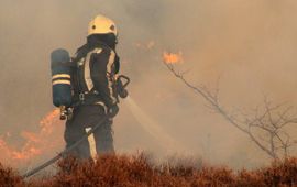 Een brandweerman vecht tegen de vlammen van een duinbrand bij Bergen aan Zee in 2010 (foto: Jelzo)
Foto: Jelzo, gfd-licentie