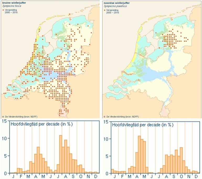 Verspreidingskaartje en vliegtijd bruine winterjuffer (links) en noordse winterjuffer (rechts)