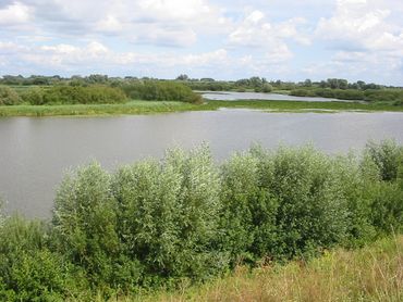 Hurwenensche Uiterwaarden in nattere tijden