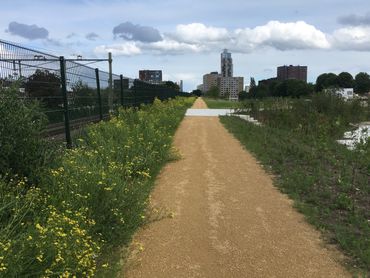 Ecologische verbindingszone naast het spoor