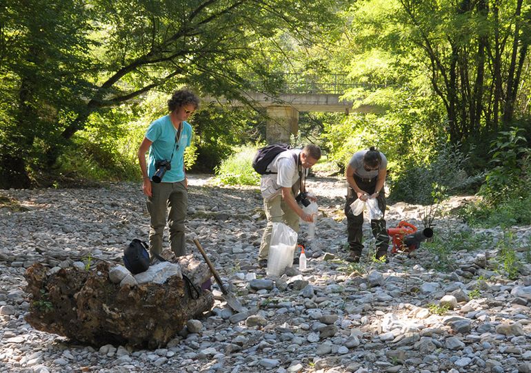 Veldwerk in Slovenië, met links op de foto Rutger Wilschut